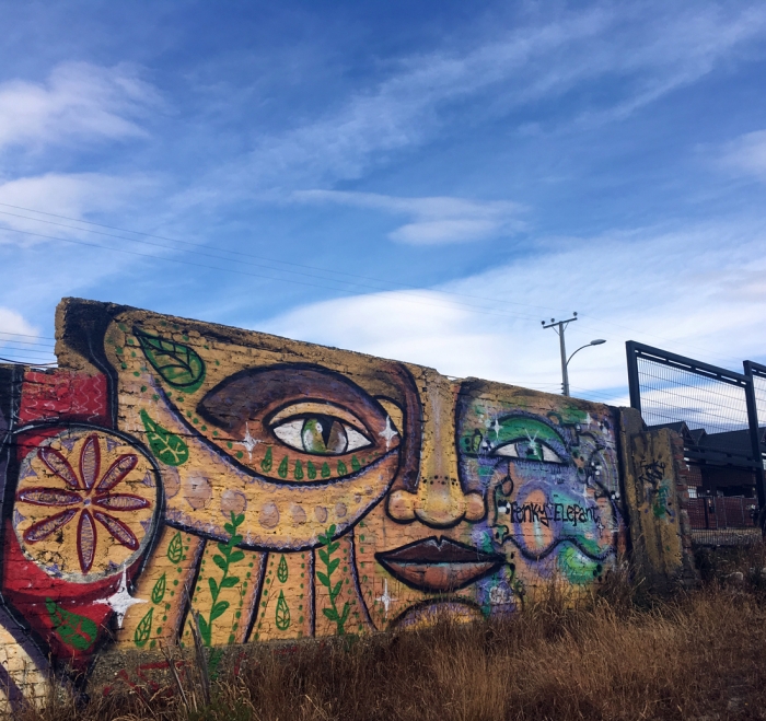 Nemcsak étkezdékkel, a chilei utcák tele vannak falfestményekkel is. A graffiti-művészet vagy streetart legális, sőt sok helyen bérlik is rá az alkotókat