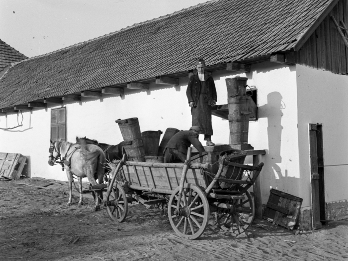 1943: Garaton öntik le a présházba a szőlőt. Kép: Fortepan, Lissák Tivadar