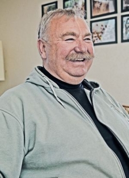 Bivalyok földje