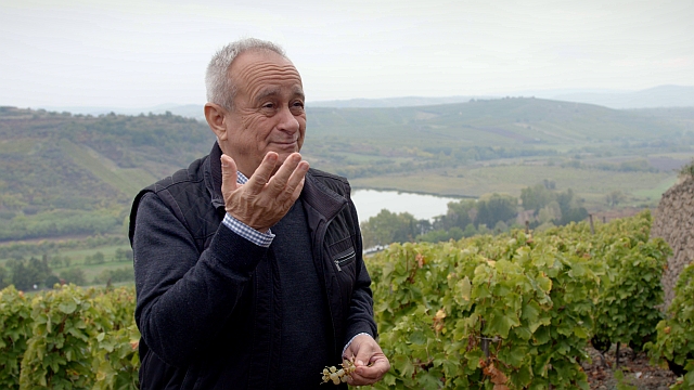 Szepsy István