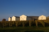 Grinzing és Tokaj