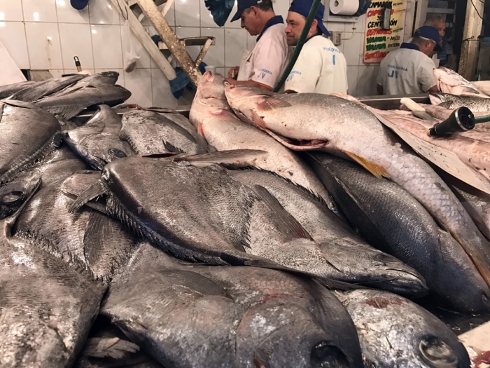 A nagy piacon is gyorsan forog az áru. Chile többezer km óceánparttal rendelkezik, ehhez képest mégsem fogyasztanak igazán sok tengeri élelmet.