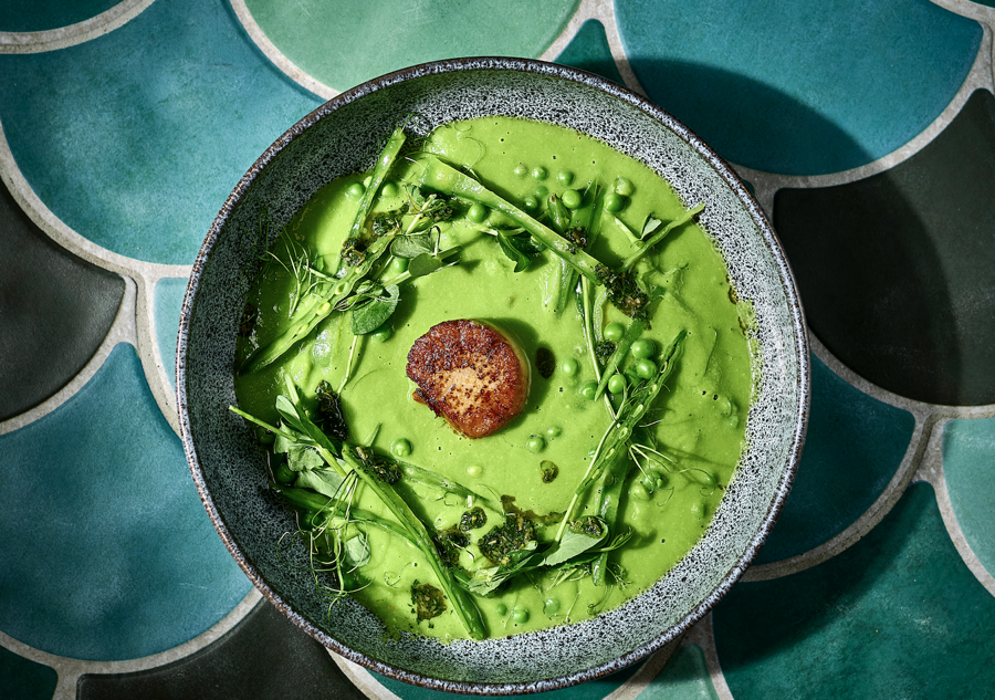 Fésűkagyló, zöldborsó, „salsa verde”